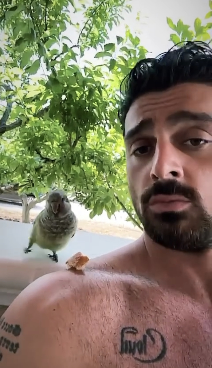 Oyş