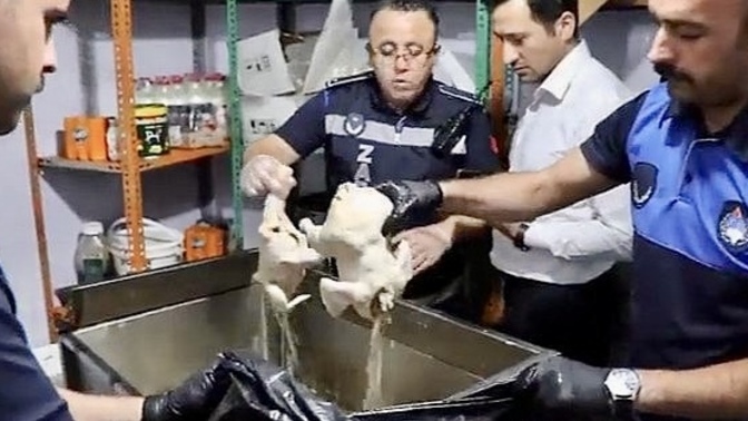 Suriyeli bir esnaf, bozuk ve kokmuş eti çamaşır suyuyla yıkayıp, pişirip Türk Milletine yedirme cesaretini nereden buluyor?