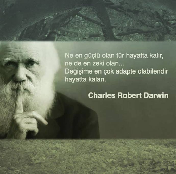 Yetenekli olan mı kazanır, yoksa çok çalışan mı?