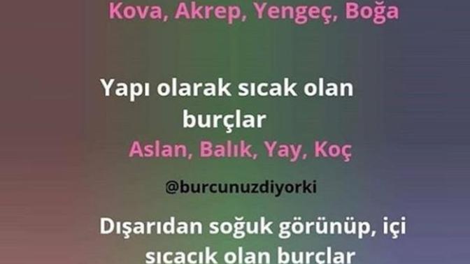 Yapi olarak nasil birisiniz?