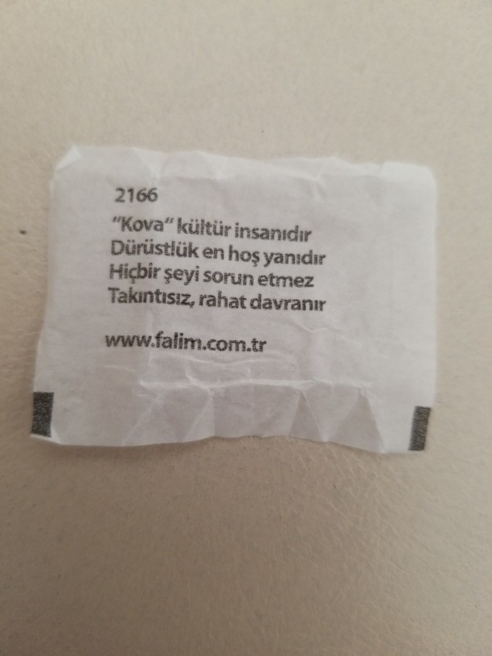 Bu zamana dek karşınıza gerçekten kültürlü diyebileceğiniz kaç insan çıktı?