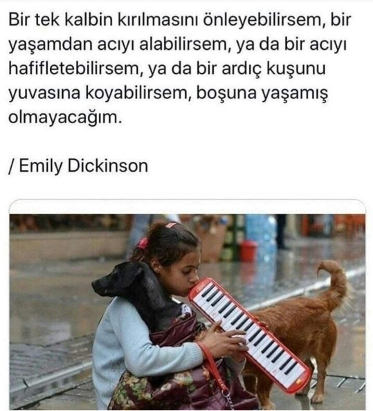 Vücudu kaslı olan güçlü bir erkek mi makbuldür yoksa ruhu kaslı naif bir erkek mi? Tarafını seç 😊 ?