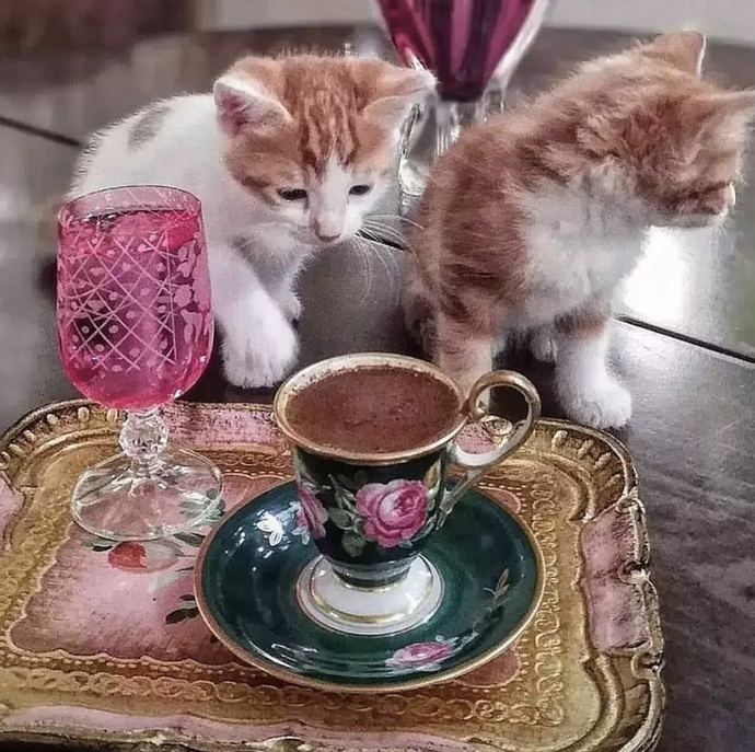 Günaydınn..☀️ Haftanın son gününe hangi içecekle başlıyorsunuz ?