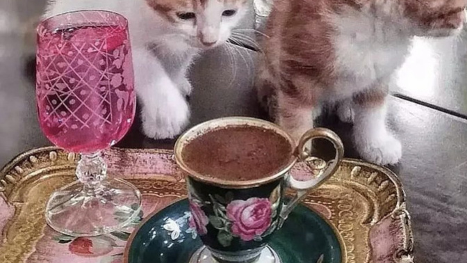 Günaydın ☀️ Haftanın son gününe hangi içecekle başlıyorsunuz?
