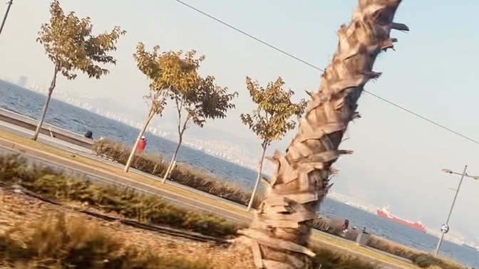 Tam şu an başınızı alıp nereye gitmek isterdiniz?