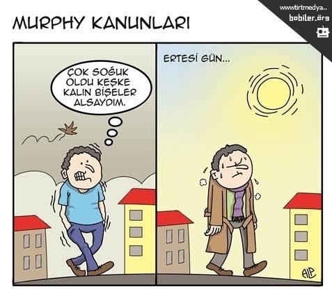 Kızların söylemi ile Murphy Kanunları erkeklerin söylemi ile canabetlik seni hangi konularda daha çok etkiler?