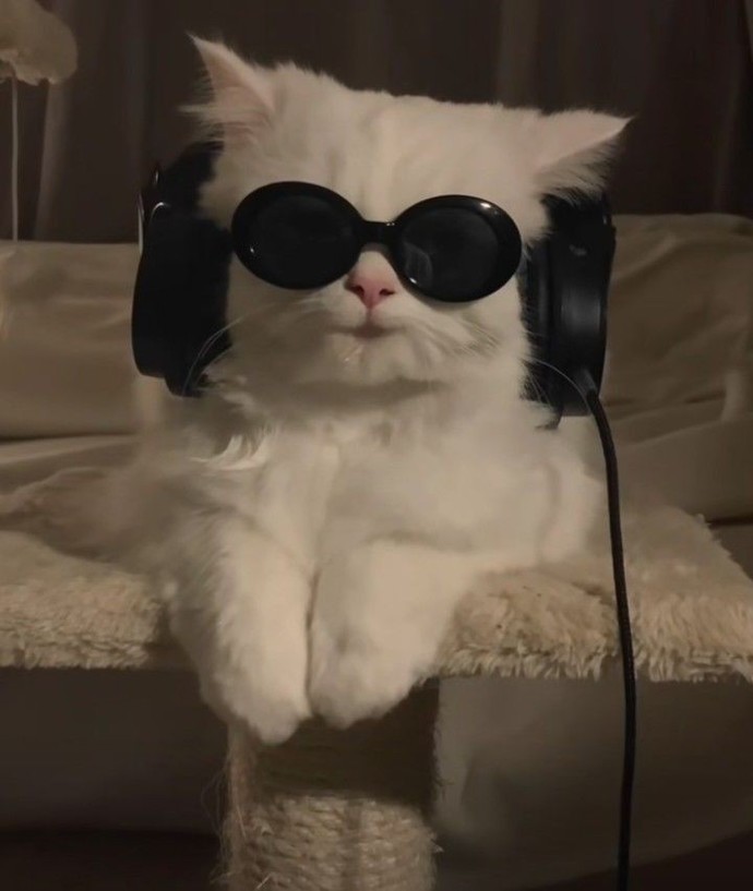 🎶