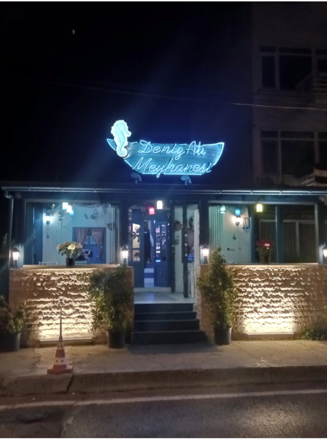 Meyhane severmisiniz ?