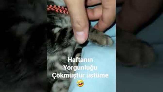 Cuma Akşamları sizin modunuz böyle mi?