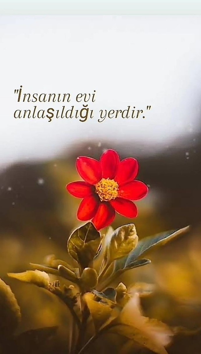 Bu hayatda , sizi anlayan , sizi dinleyen anlaşıldığınız yerler ve kişiler var mı? Olumlu ve olumsuz duygularda nereye gidersiniz?