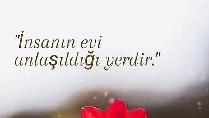 Bu hayatda , sizi anlayan , sizi dinleyen anlaşıldığınız yerler ve kişiler var mı? Olumlu ve olumsuz duygularda nereye gidersiniz?