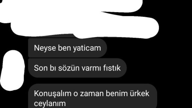 Neden böyle konuştu sizce?
