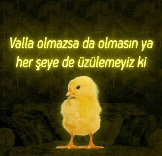 Her şeye de üzülemeyiz ki