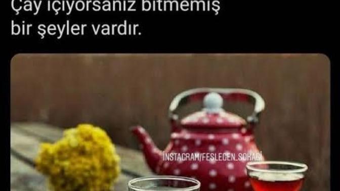 Bugün kaç bardak çay içtiniz?