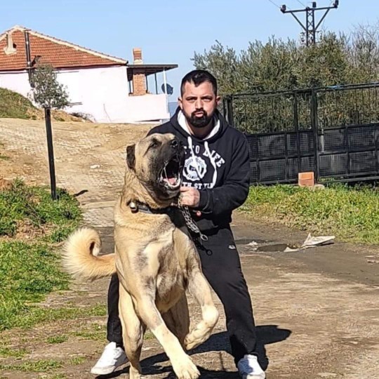 Evinizde hangi vahşi hayvanı besleyebilmek isterdiniz?