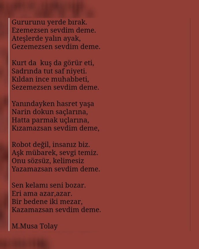 Anlık şiirimi bırakıyorum, Nasıl Olmuş?