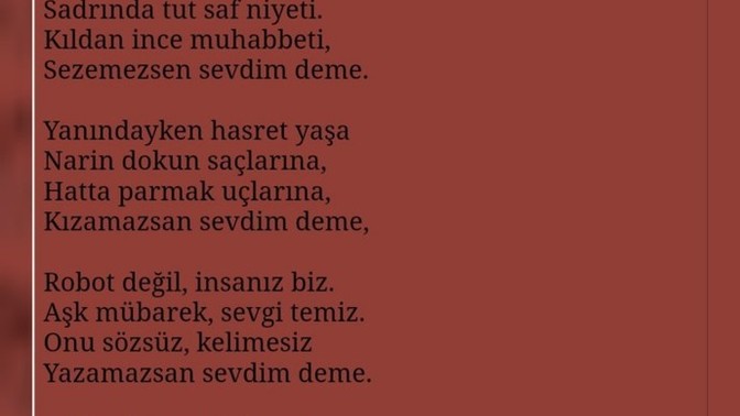 Anlık şiirimi bırakıyorum, Nasıl Olmuş?
