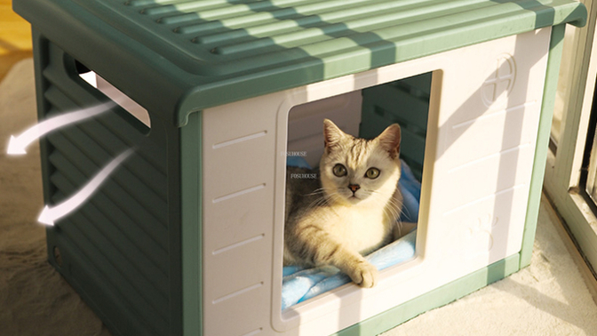 Kedi beslemenin aylık masrafı ne kadardır?