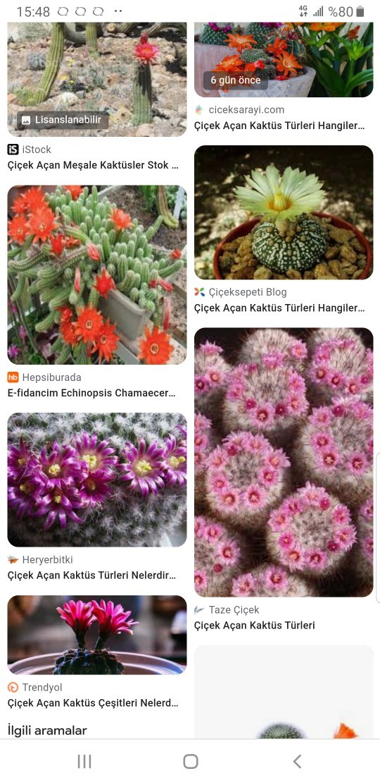 Kadın denince akla hangi çiçek geliyor?