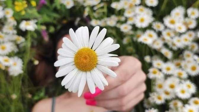 Kadın denince akla hangi çiçek geliyor?