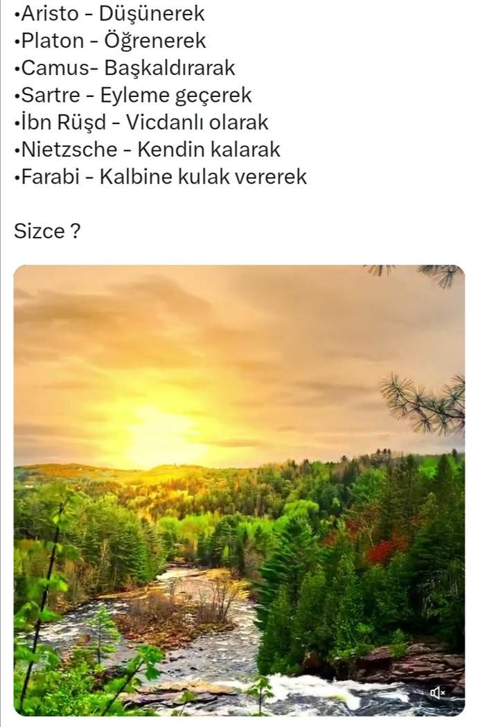 #nirhamm 🔴 🔴 🔴 🔴