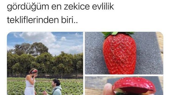 Evlilik teklifinin nasıl yapılmasını/yapmayı isterdiniz?