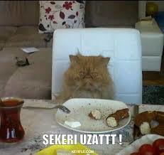 Şu anki ruh halinizden bir kesit alalım?