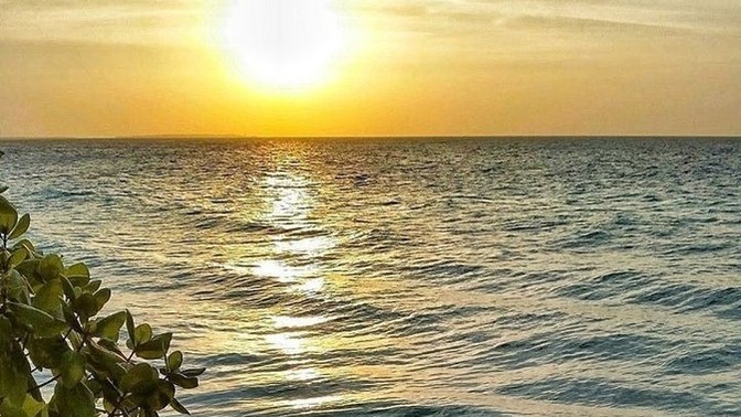 1-5 arası sayı seç?