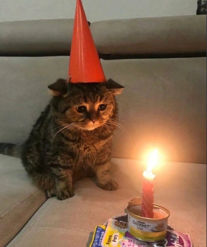 Az önce 18 oldum, hayatımda hiç bişi değişmeyecek dimi :D ?