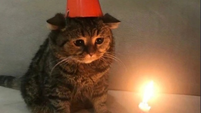 Az önce 18 oldum, hayatımda hiç bişi değişmeyecek dimi :D ?