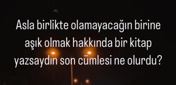 Asla birlikte olamayacağın birine aşık olmak hakkında bir kitap yazsaydın son cümlesi ne olurdu?