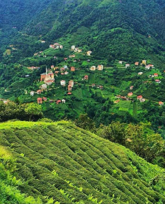 Trabzon ❤️