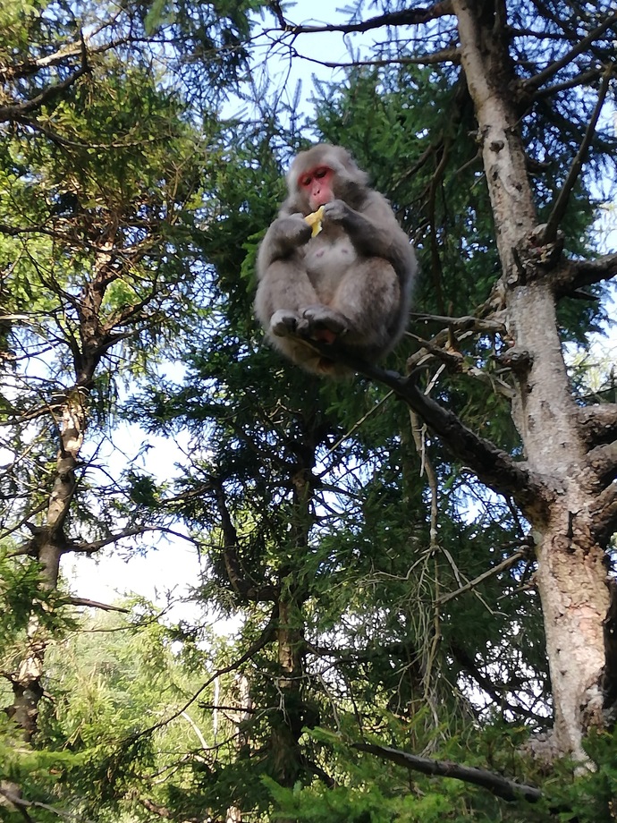 Hedeflerimi düşünürken ben🤣