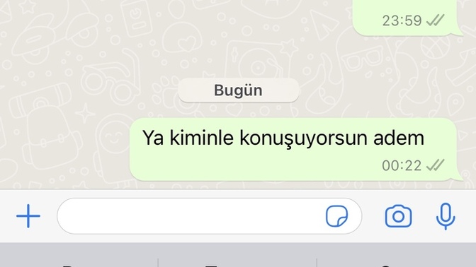 Erkek ardaşım bana işim var, müsait değilim diyor ama WhatsApp'ta çevrim içi. Aldatıyor olabilir mi?