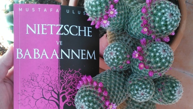 Nietzche ve Babaannem adlı kitaptan size okumam için 11-216 arası sayfa seçer misiniz?