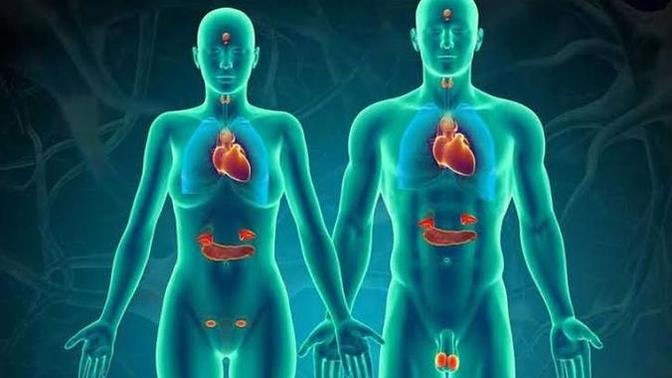 Erkekler mi cinselliğe daha düşkün sizce yoksa kadınlar mı?