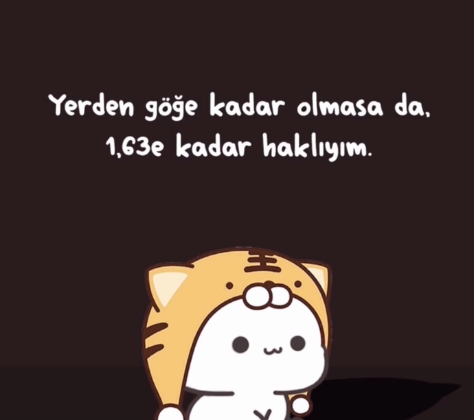 Siz yerden nereye kadar haklısınız?