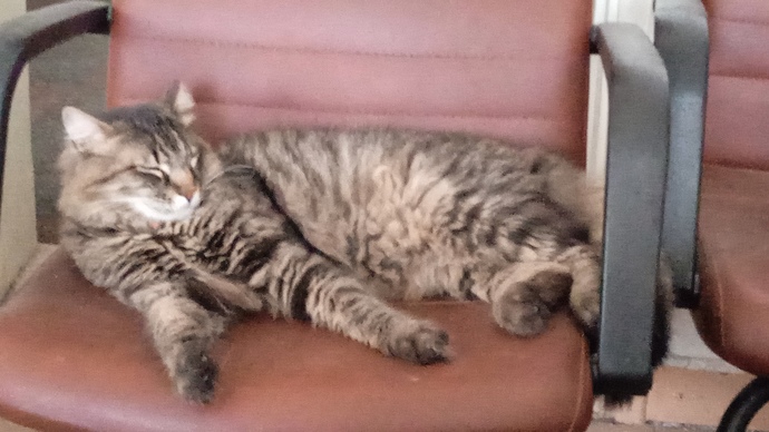 Kaçırıldığınızı varsayalım! Galerinizde son fotoğrafı olan kişi sizi kurtaracak. Bu kim olurdu?