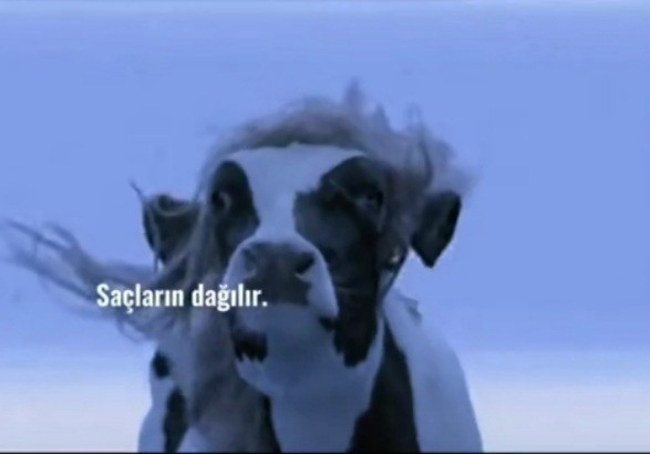 Kaçırıldığınızı varsayalım! Galerinizde son fotoğrafı olan kişi sizi kurtaracak. Bu kim olurdu?