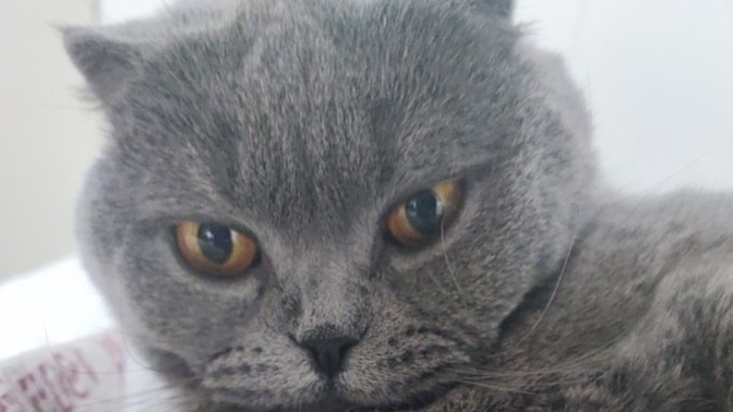 İlgi görmediğinde strese girer misin?