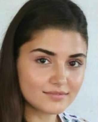 Hande Erçel'in elbisesi sizce güzel mi?