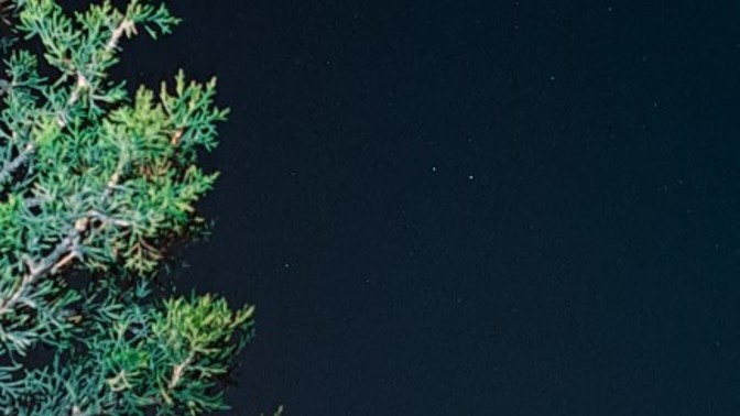 Arkadaşlar yeni fotoğraflarım nasıl olmuş yeni çektim?