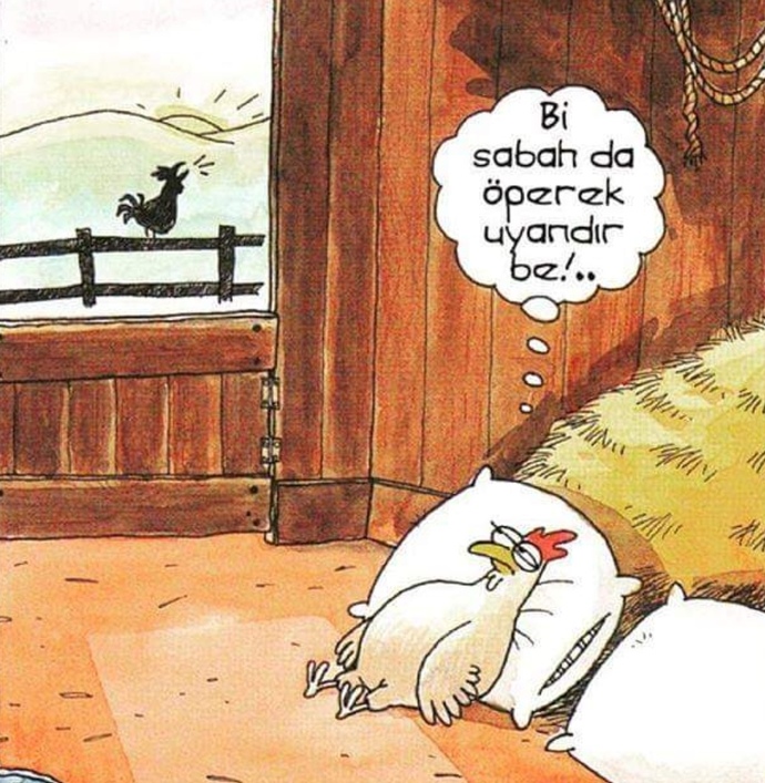 Bu sabah nasıl uyandınız?