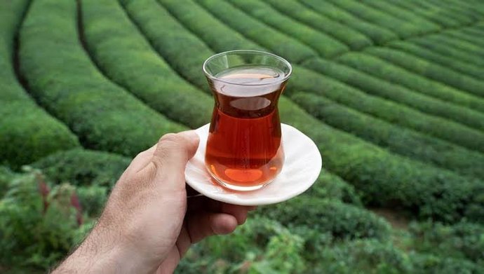 Çay fiyatlarına %43 zam yapıldı. Çay içmeyi seviyor musunuz?