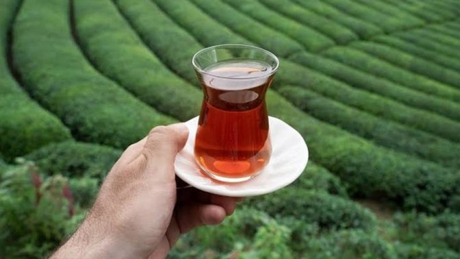 Çay fiyatlarına %43 zam yapıldı. Çay içmeyi seviyor musunuz?