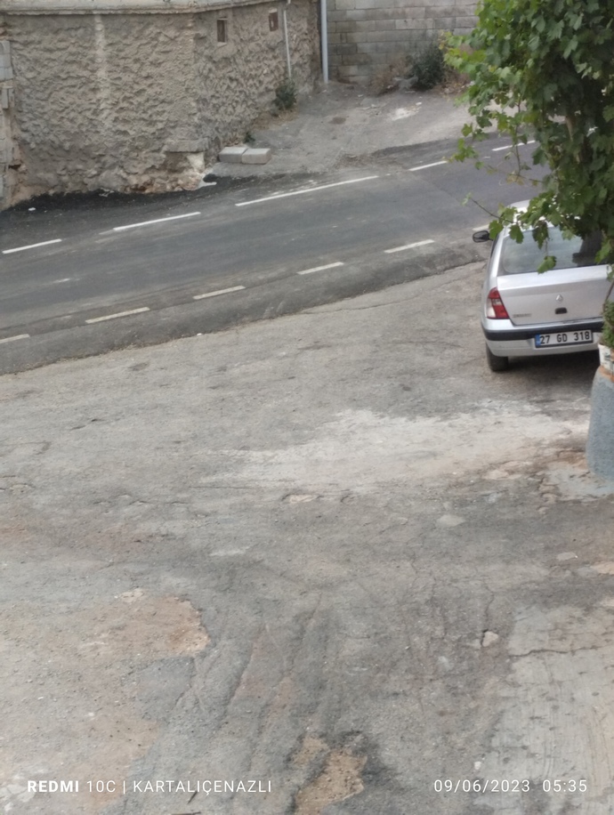 Koşu mu neden olmasındı
