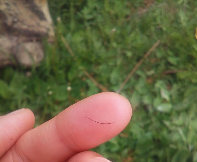 Ağlamak için bahaneleriniz var mı?