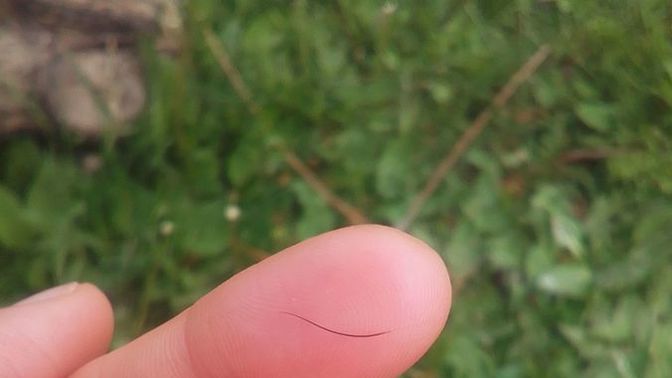 Ağlamak için bahaneleriniz var mı?