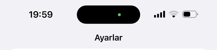 Kendi kendiliyinden isik yanili oldu. neden?