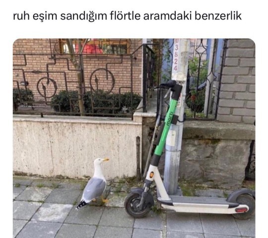Birinin ruh eşiniz olduğunu nasıl anlarsınız?